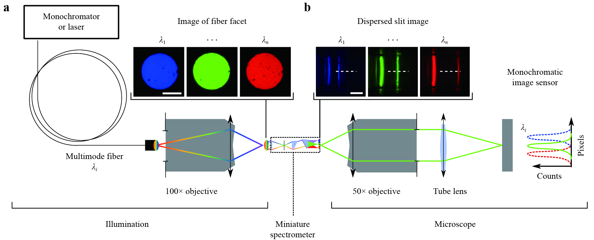 3D-printed miniature spectrometer for the visible range with a 100 × ...