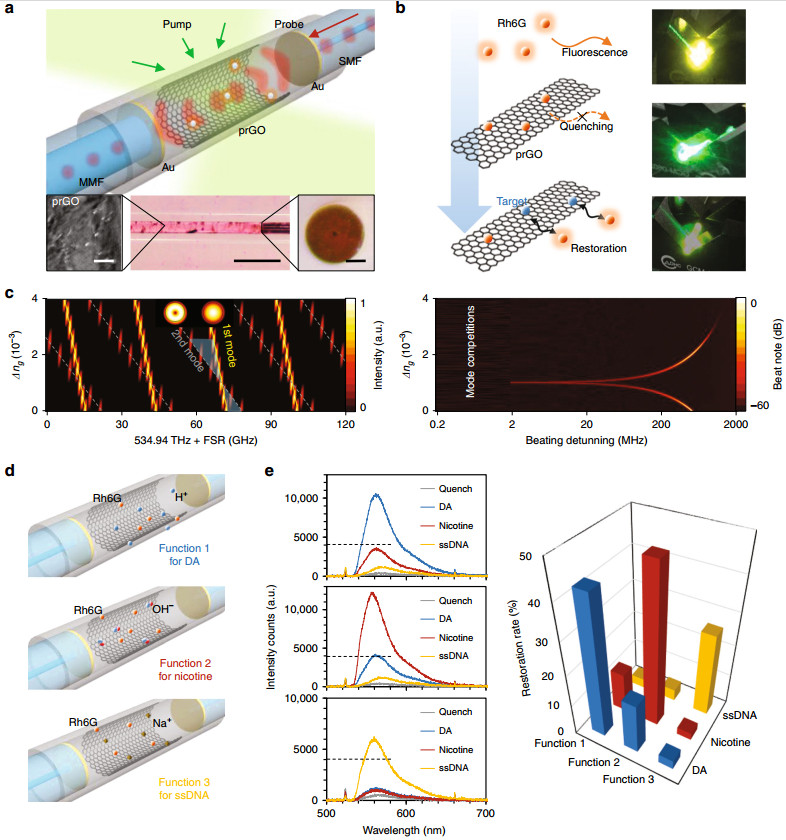 Biochemical sensing in graphene-enhanced microfiber resonators