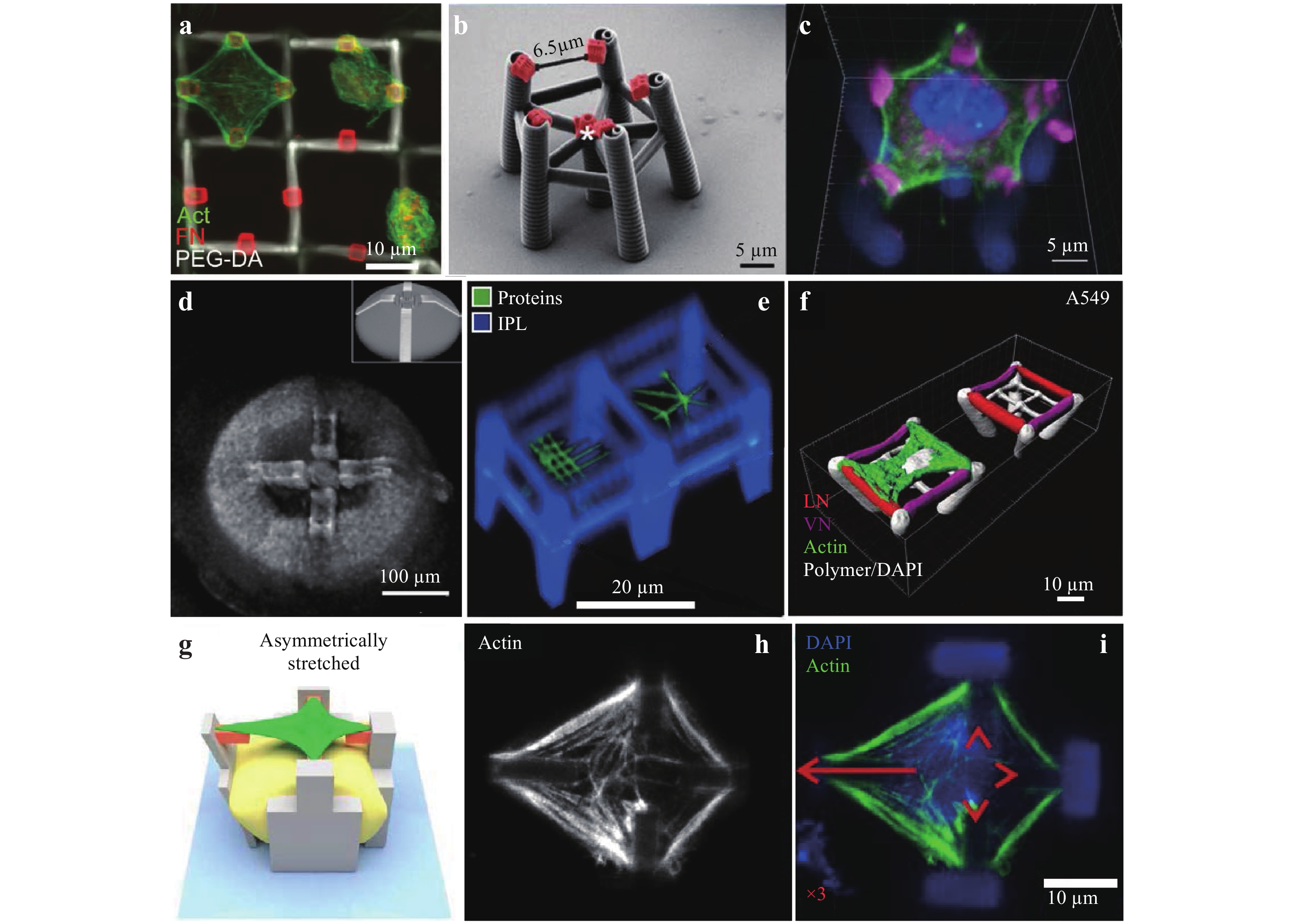 3D scattering microphantom sample to assess quantitative accuracy in  tomographic phase microscopy techniques