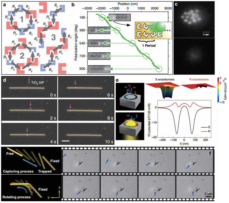 Plasmonic tweezers: for nanoscale optical trapping and beyond