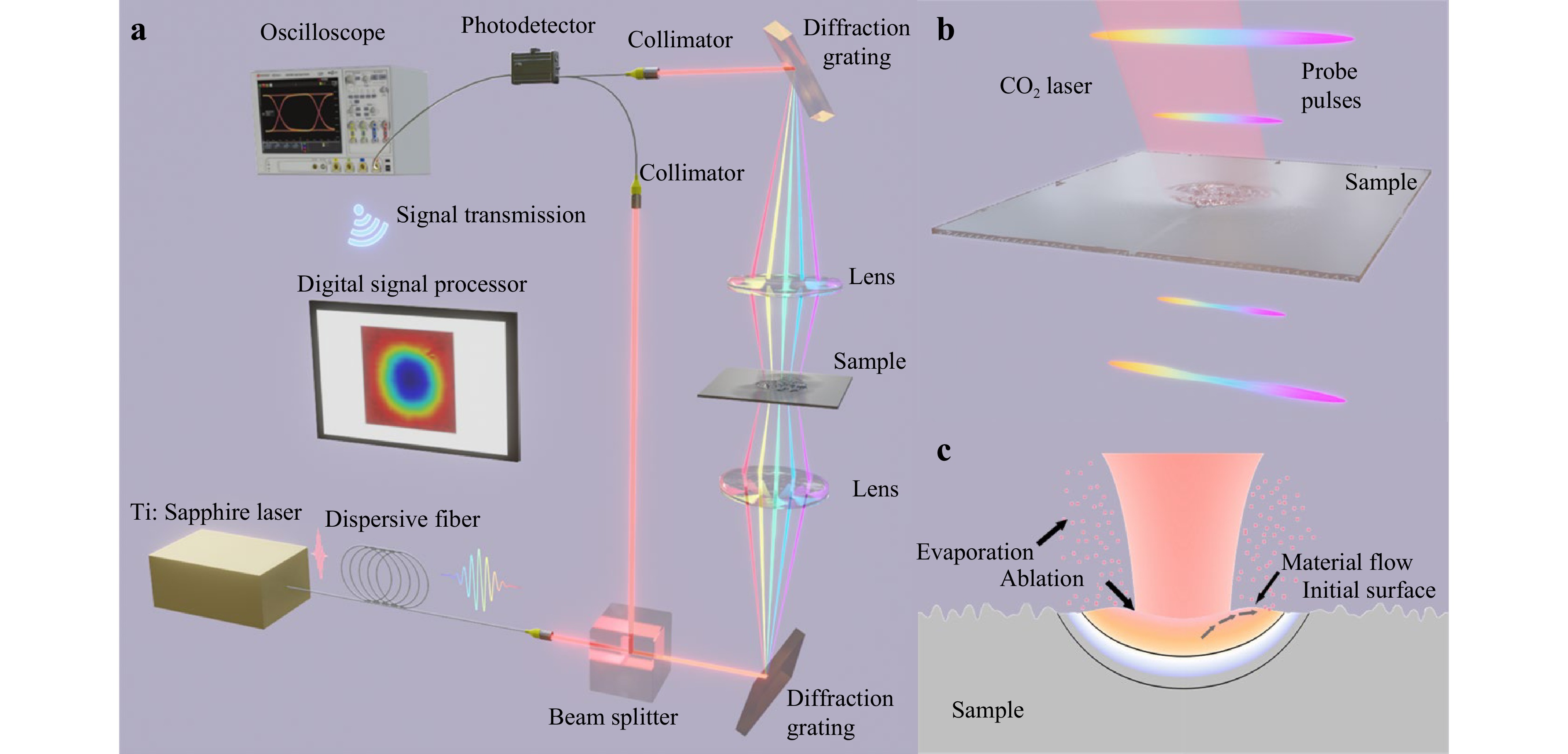 Dynamics of molten pool evolution and high-speed real-time optical