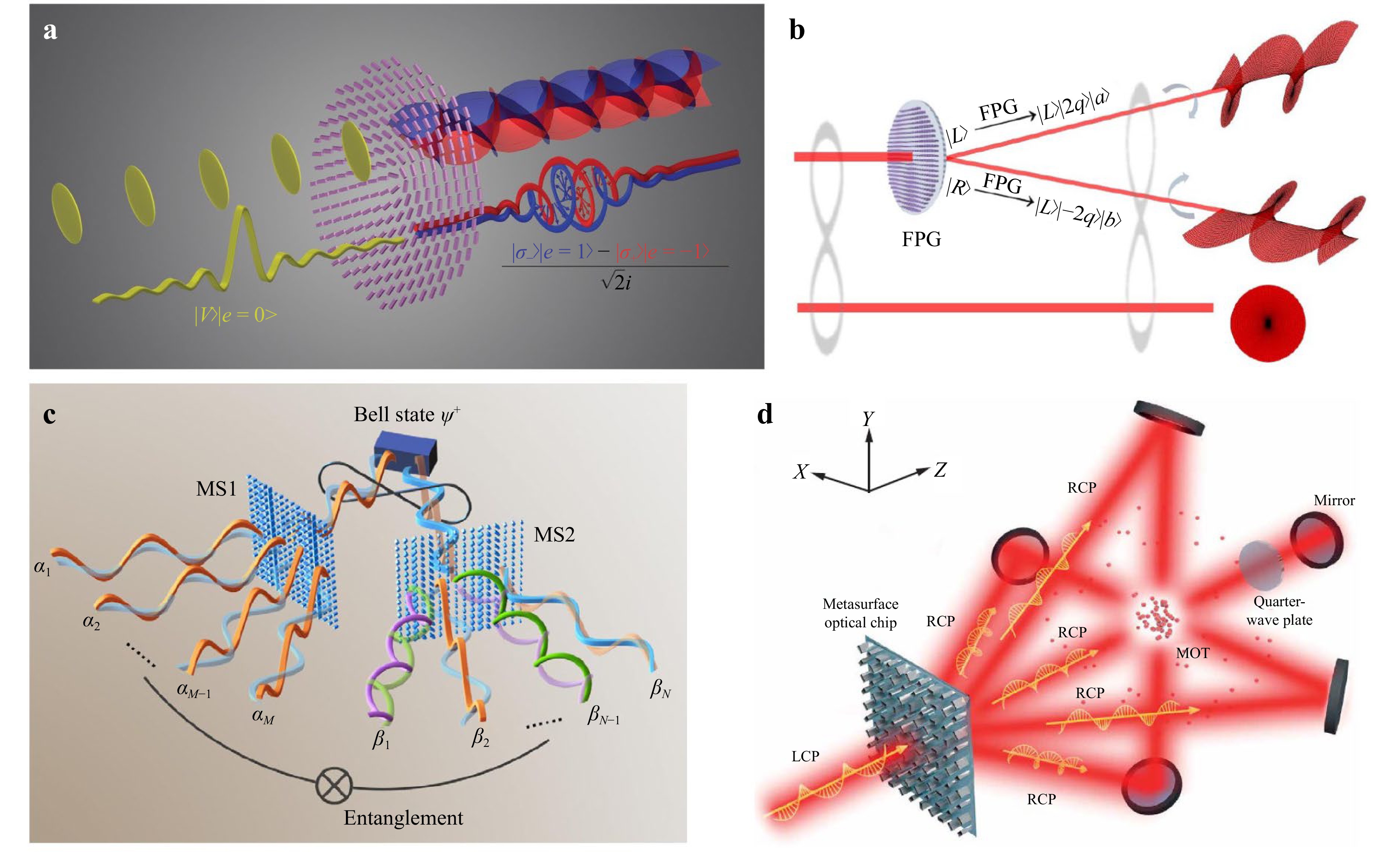 Quantum meta-devices